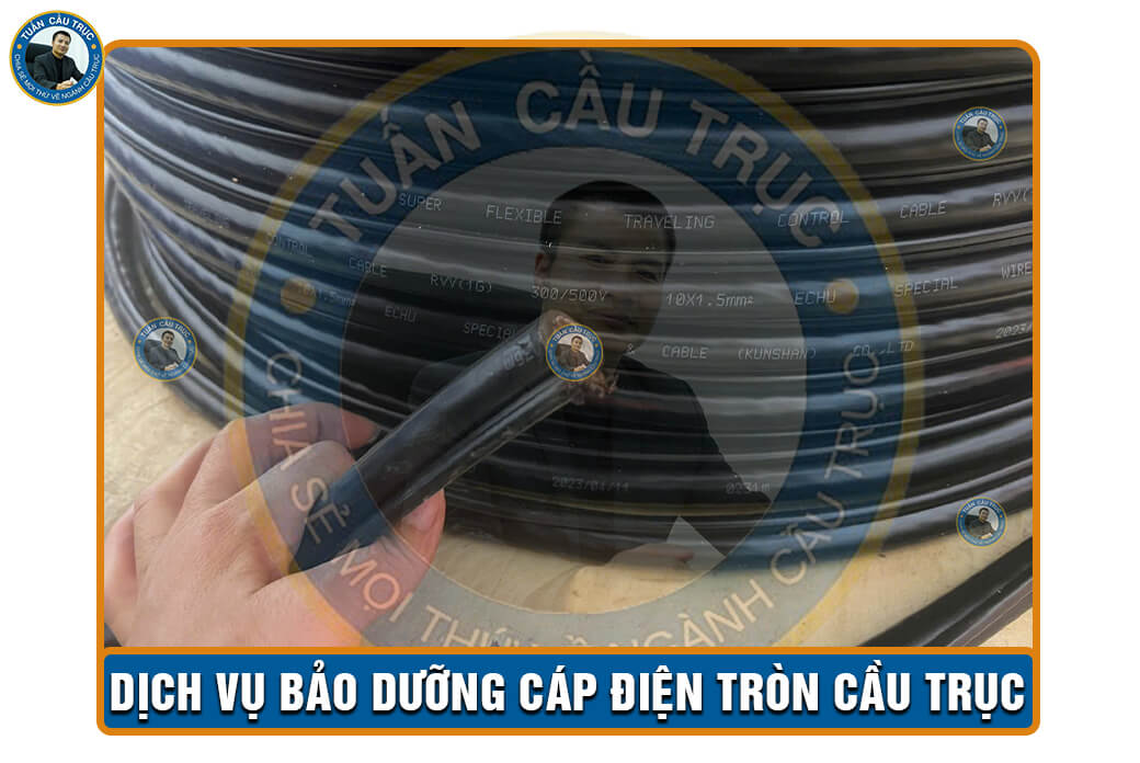 Dịch vụ bảo dưỡng cáp điện tròn cầu trục Dịch vụ bảo dưỡng cáp điện tròn cầu trục