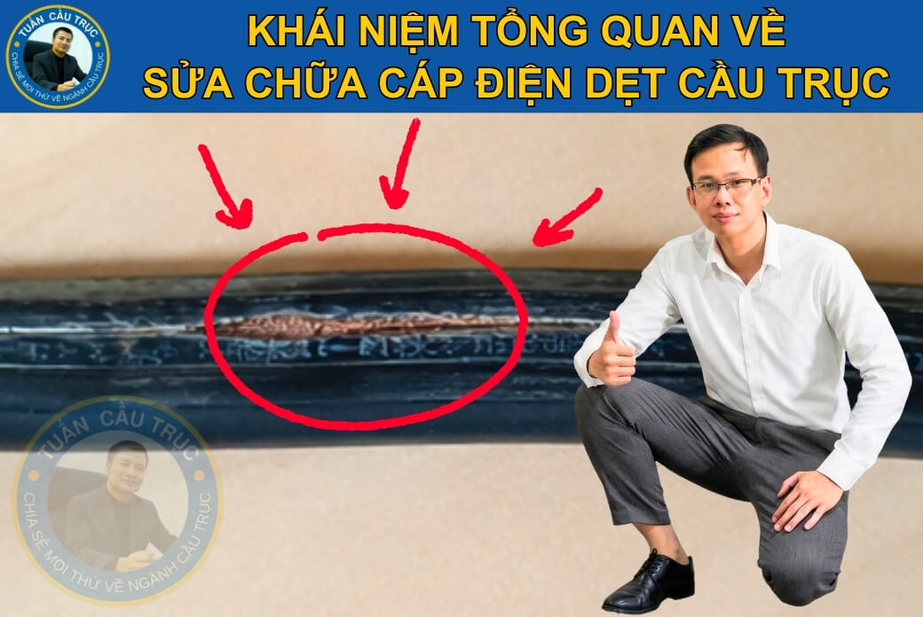 Sửa chữa cáp điện dẹt cầu trục là gì? Sửa chữa cáp điện dẹt cầu trục là gì?
